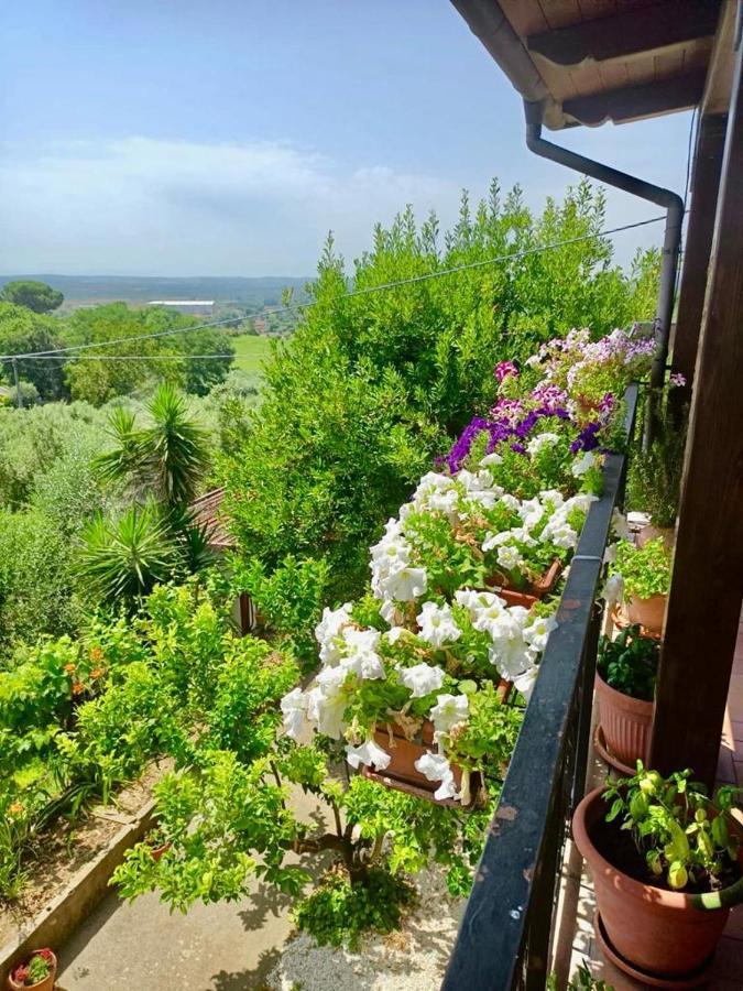 Colle Perazzoni Apartment Fiano Romano Exterior photo