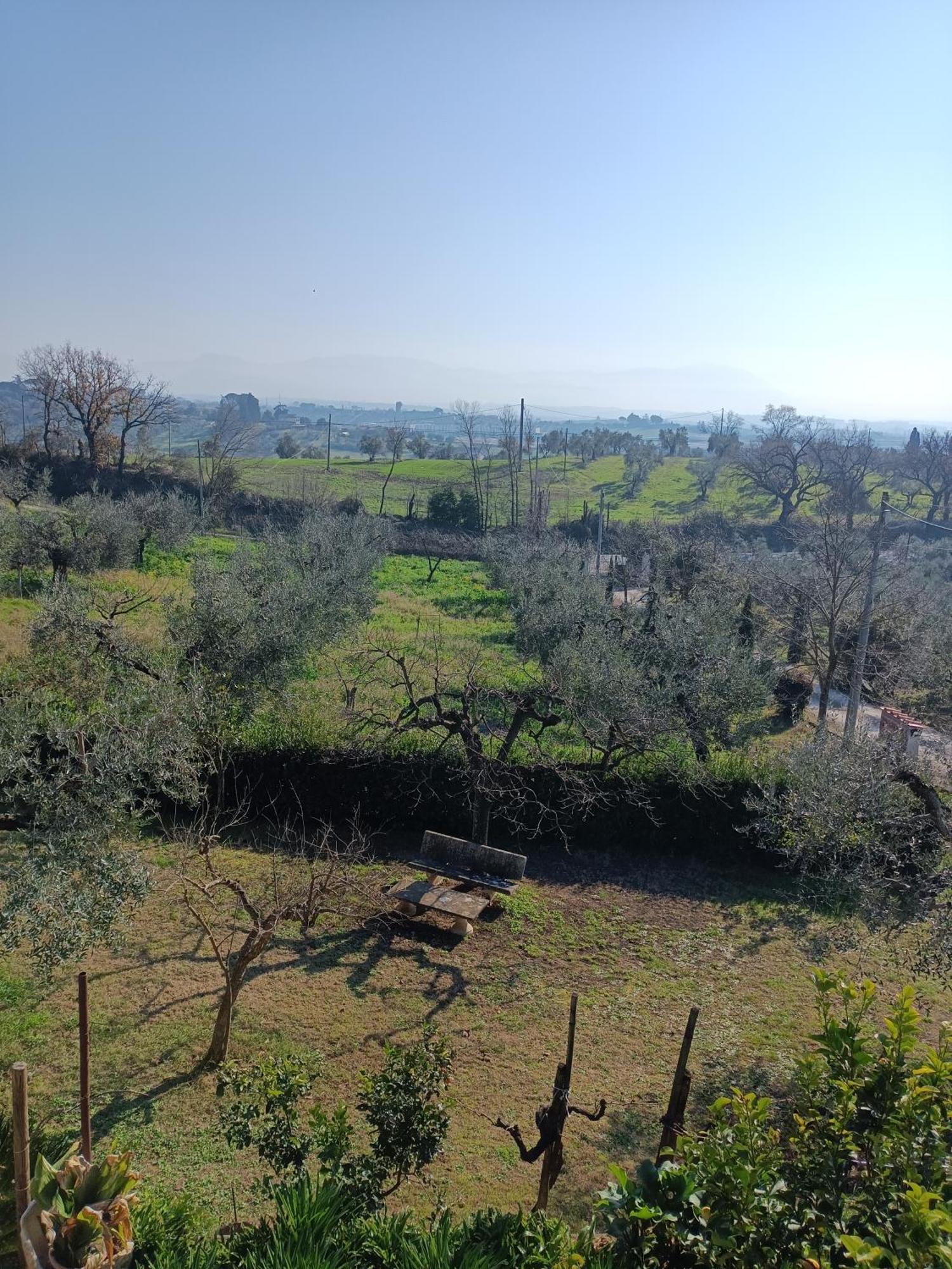 Colle Perazzoni Apartment Fiano Romano Exterior photo